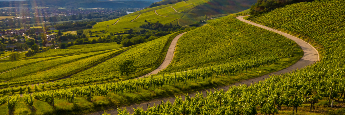 Direito do Agronegócio